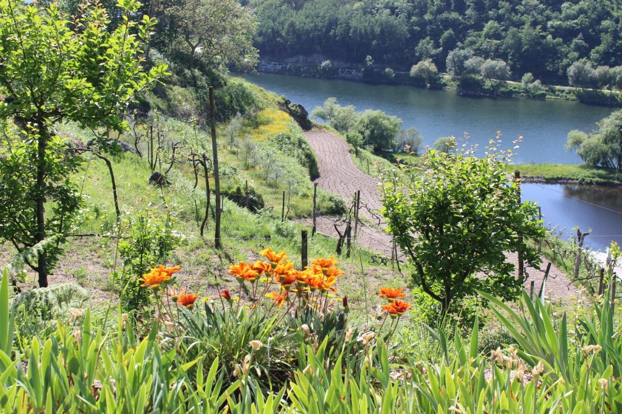 "Bouca Drigues" Casa Antiga De Pedra Com Piscina E Vista Rio Villa Amarante Dış mekan fotoğraf