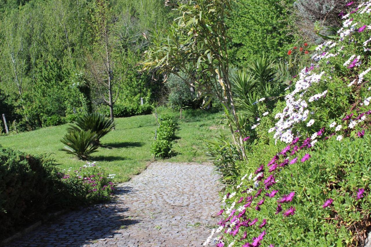 "Bouca Drigues" Casa Antiga De Pedra Com Piscina E Vista Rio Villa Amarante Dış mekan fotoğraf