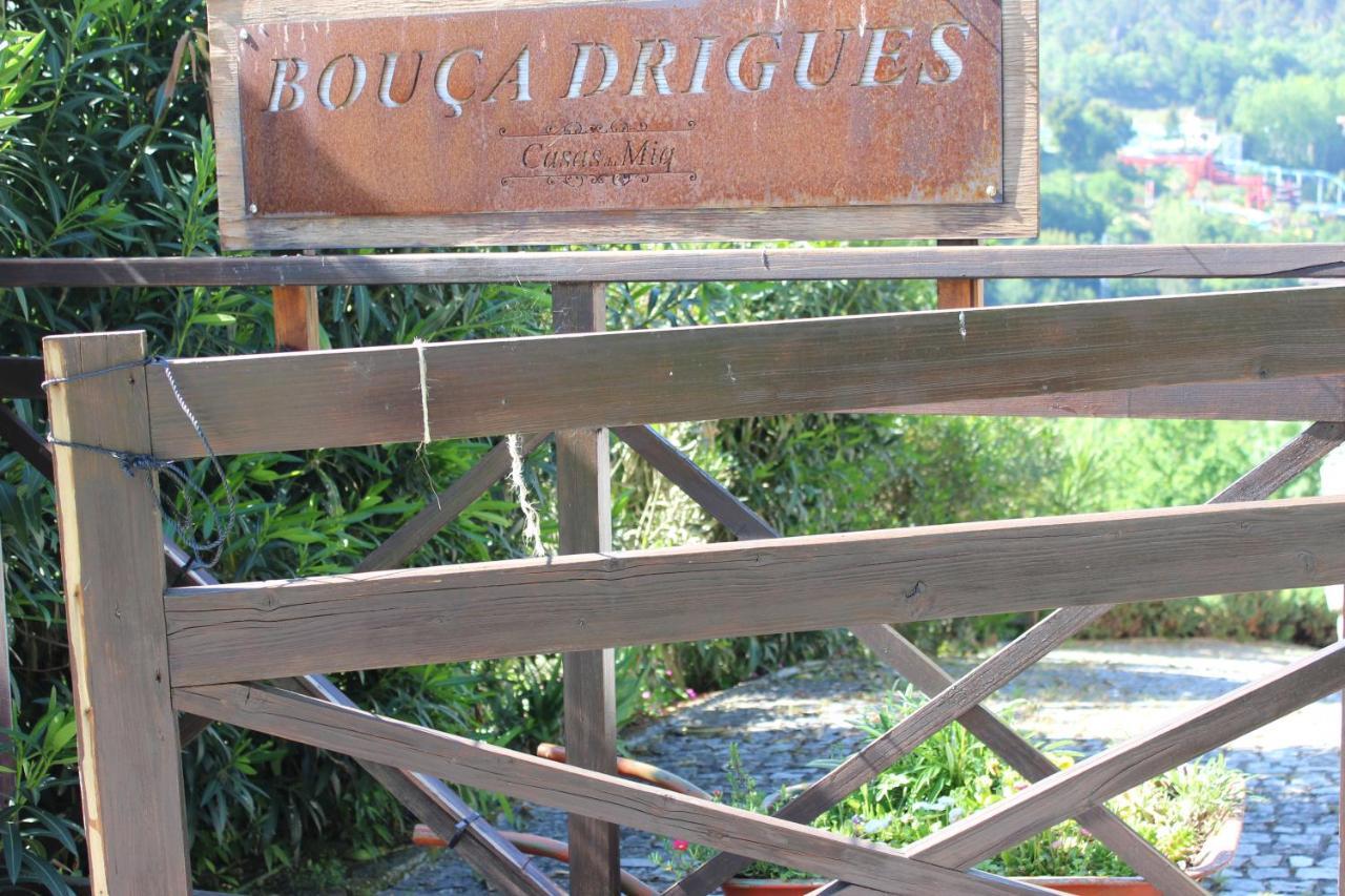 "Bouca Drigues" Casa Antiga De Pedra Com Piscina E Vista Rio Villa Amarante Dış mekan fotoğraf
