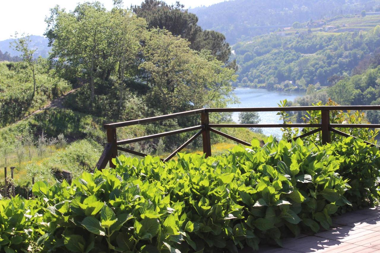 "Bouca Drigues" Casa Antiga De Pedra Com Piscina E Vista Rio Villa Amarante Dış mekan fotoğraf