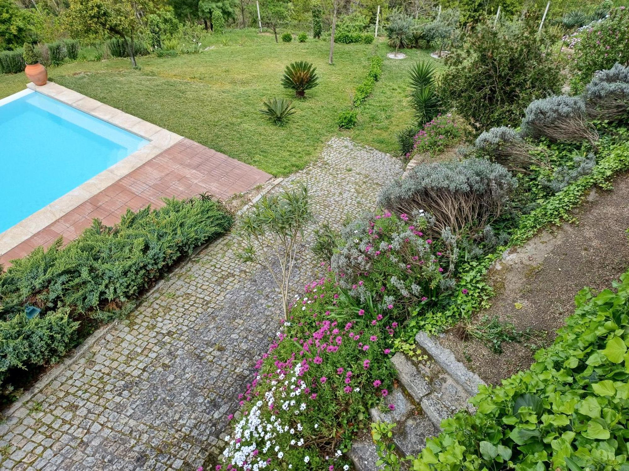 "Bouca Drigues" Casa Antiga De Pedra Com Piscina E Vista Rio Villa Amarante Dış mekan fotoğraf