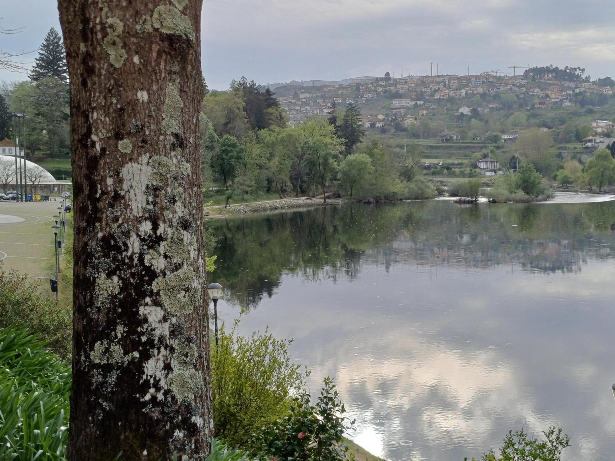 "Bouca Drigues" Casa Antiga De Pedra Com Piscina E Vista Rio Villa Amarante Dış mekan fotoğraf